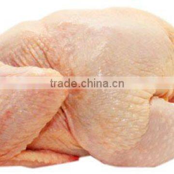 GRADE A BRAZILIAN HALAL FROZEN WHOLE CHICKEN READY FOR EXPORT ANY PORT OF YOUR CHOICE