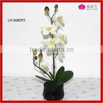 White Orchid Flower Plants Artificiail Decoration Flower