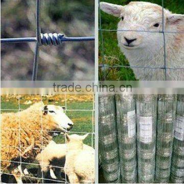 Hot Galvanized Goat Mesh Fencing