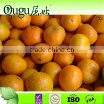 2011 fresh navel Orange