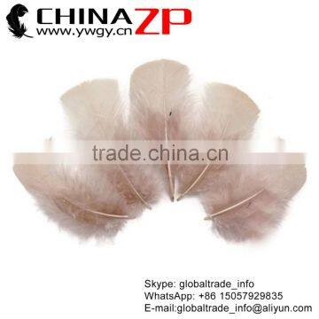 ZPDECOR The Latest Plumage Cheap Brush Dyed Nude Color Turkey T-Base Body Feathers for Parties Decorations