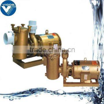 Swimming pool pump/ compact pool filter pump