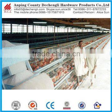 export Kenya galvanized chicken cage/ chicken farm hot sale A Type layer poultry battery cages