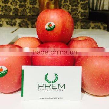 Fresh Apple