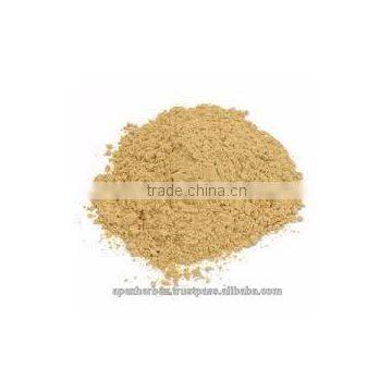 Apple Fruit Juice Powder / Apple Powder Spray Dried / Apple Fruit Juice Powder photo-2