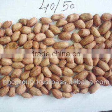 GROUNDNUT KERNELS (JAVA, BOLD & TJ)