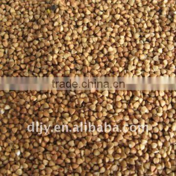 Rosted Buckwheat Kernel