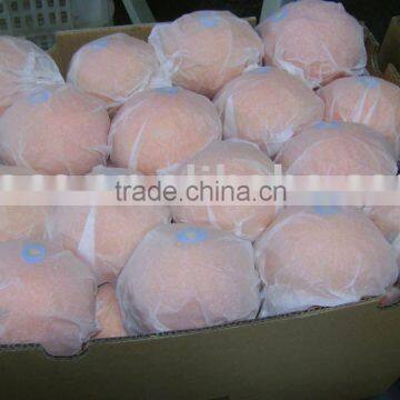 Navel Oranges Supplier From China