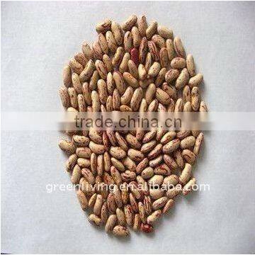 light speckled kidney beans with good quality