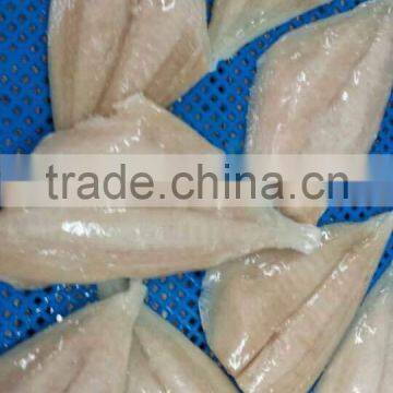 Frozen Atlantic Pomfret (Brama brama) fillet boneless