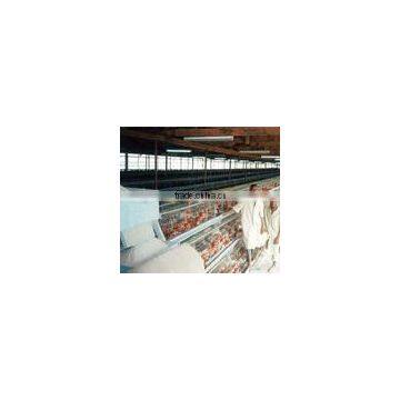 9WCD-3120 A Type Layer Chicken Cage Poultry Breeding Equipment