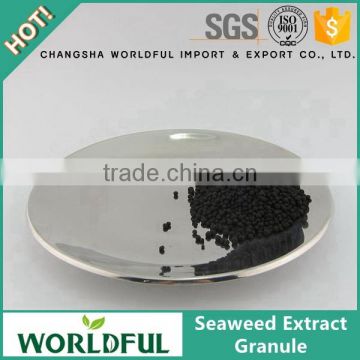 100% natural water soluble seaweed extract granule for plant growth