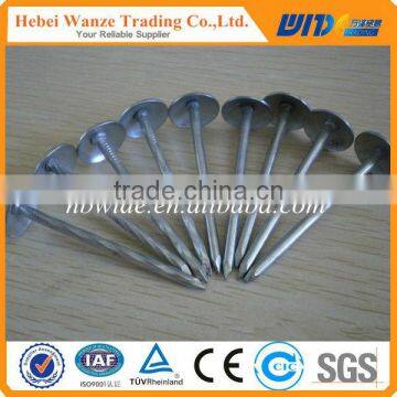 China hot sale roofing nail with umbrella / polished common nails / concrete nail for factory