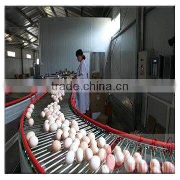 2014 Newly poultry farm equipment egg collecting machine