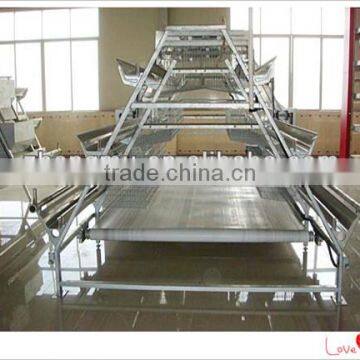 Design poultry farm of automatic chicken manure removal system