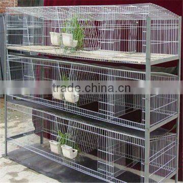 Gold Supplier Chicken Cage/chicken Farm/chicken Cage for Sale for All World photo-2