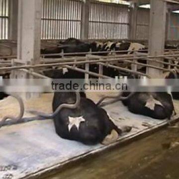High Density Animal Mats for Sale photo-2