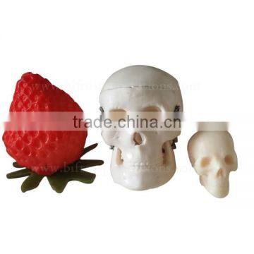 Little Size Plastic Human Body Anatomy Skeleton Model photo-2
