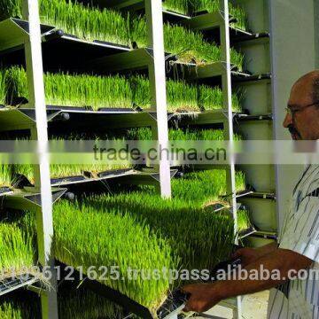 StarMax Hydroponic Growing Systems / Hydroponic systems / Hydroponic Trays