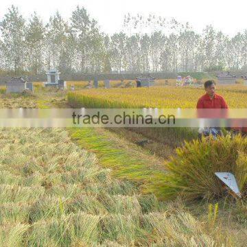 Walking Tractor/mini Tiller Used Harvest Part, Reaper Head photo-4