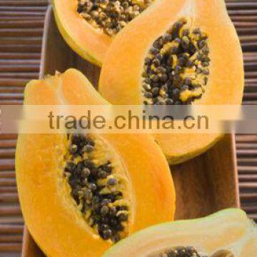 Papaya Fruit Microwave Vacuum Dryer photo-4