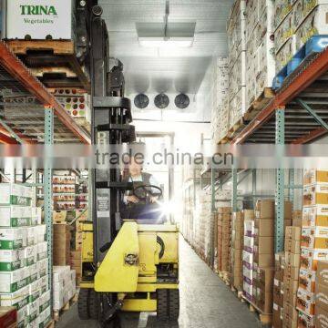Used Prefabricated Vegetable Warehouse Buildings for Sale photo-2