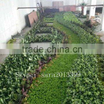 Vertical Planter Garden Outdoor Wall Green Wall Ganging Planter photo-3