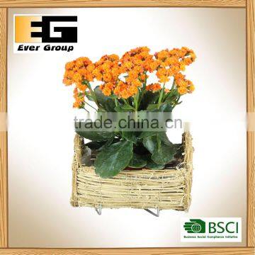 Natural Rattan Semi Cylindrical Garden Planter and Decoration Tray photo-6