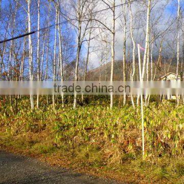 Ski Resort , Winter Resort , Condominiums and Hotels , Land for Sale photo-2