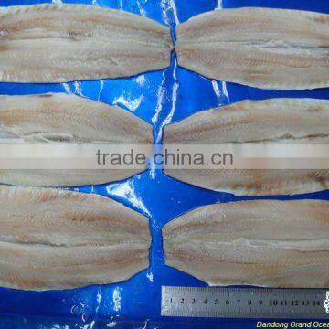 dried fresh herring fillet seafood