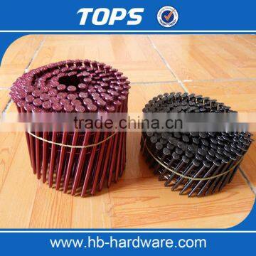 plastic collated/electro galvanized coil nails