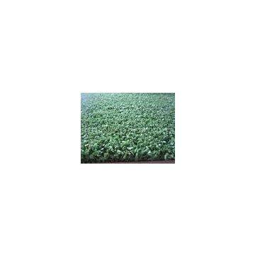 15mm Height 8800dtex Hockey Artificial Grass