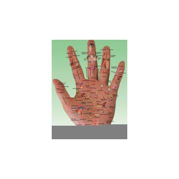 Sell Microcomputer Therapy Apparatus