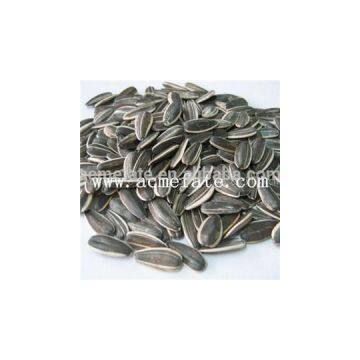 Sunflower Seeds