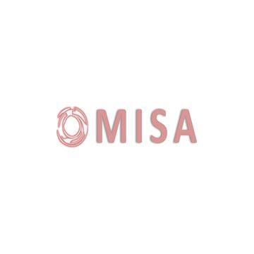 Hebei Misa Trade Co., Ltd.