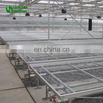 Commercial Grape Nursery Greenhouse Seeding Supplier