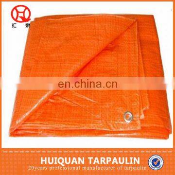 PE TARPAULIN IN ROLL,HOT SALE,CANVAS FABRIC,PLASTIC MAT