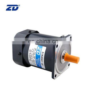 AC gear motor
