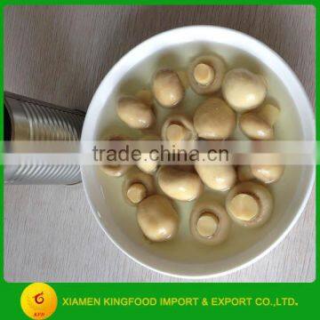 Whole Mushroom in Can Wholesale