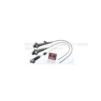 WMV-V10 Veterinary Video Airway Mobiiscope endoscope