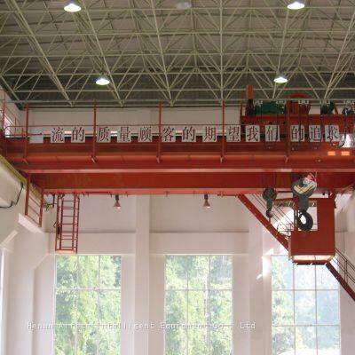 Manufacturing Muscle: Advanced Multi-Hook Overhead Crane photo-5