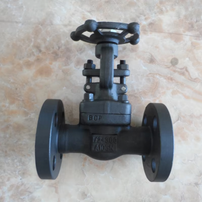 ANSI Forged Steel A105 Hard Seal Gate Valve Flange Socket Welded Manual 150LB/300LB High Pressure Gate Valve photo-3