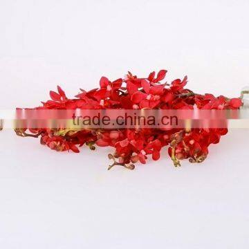 Top grade OEM red orchid plants