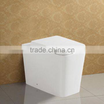 Wash Down P Trap Ceramic Wall Mounted Water Closet AT628A