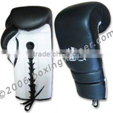 Training / Sparring Gloves