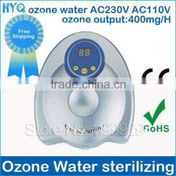 Wholesale water ozone sterilizing air purifier 3188 AC110V 60Hz Ozone output 400mg/H Fruit disinfection