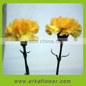 Various hot-sale real touch purple preserved carnation
