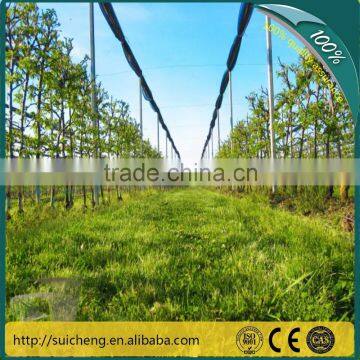 Guangzhou Fruit Tree Protection Net/ Plastic Anti-hail Net/ Agriculture Netting