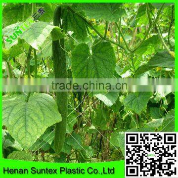 Heavy duty long-lasting polyester trellis netting plants protection net