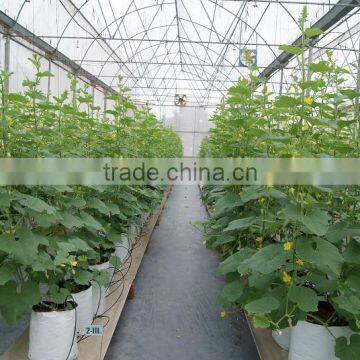 Greenhouse Film photo-3